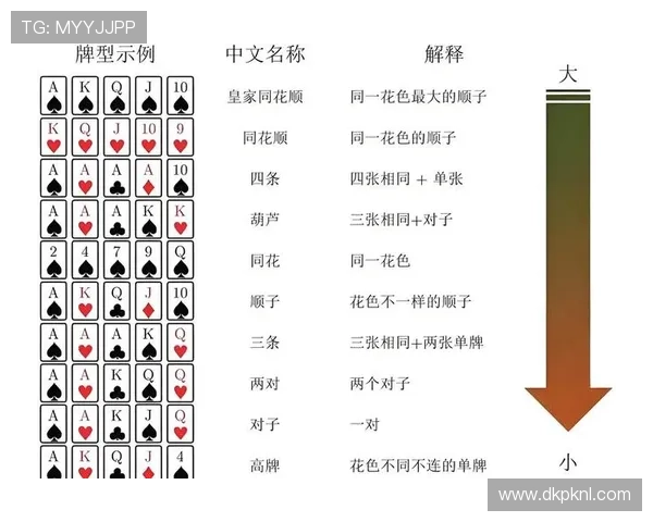 新手必看梭哈扑克牌游戏入门指南，帮助你快速掌握基本规则与玩法